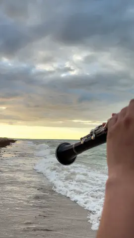 Más allá del sol ☀️❤️#fyp #banda #videoviral #clarinete #paratii (Joan Sebastian )✨