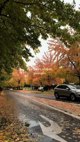tu y yo en oregon, piensalo 🤎 #oregon #traveltiktok #pnw #fyp #fallaesthetic 