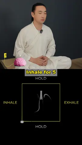 Breathe Like a Navy SEAL - Box Breathing for Instant Calm #healthy #healthylifestyle #pranayama #breathingexercises #ansiedad 