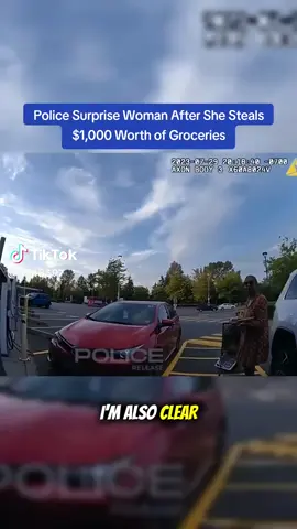 #fyp #bodycamcops #dollargeneral #fypp ##cops 