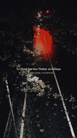 Thodi Der🥺❤️ #fyp #hindisong #bollywoodsong #shreyaghoshal #fypシ゚viral 