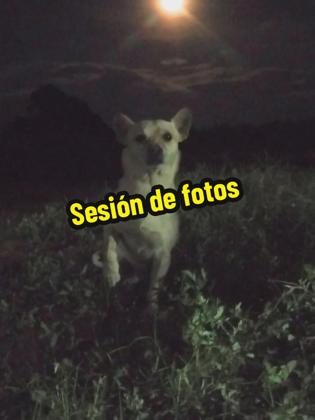 #sesiondefotos #modelo #fotos #luna #CalcioMilaneso 
