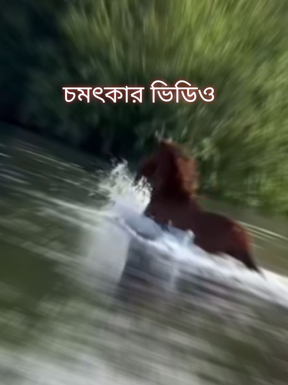 চমৎকার ভিডিও #viraltiktok #tanding #foryou #viral #tik_tok 