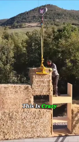 Would You Live in a Million-Dollar Mansion Made of Straw?#building #DIY #strawhouses #fyp #foryou 