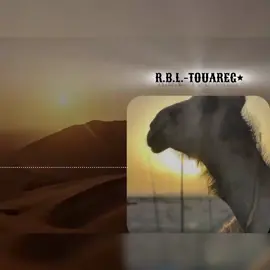 #viraltiktok #agadez_guida🤩🎸 #الشعب_الصيني_ماله_حل 