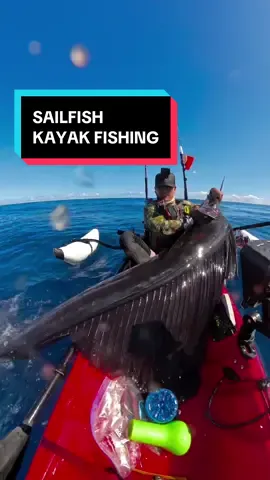 How to catch a SAILFISH from a KAYAK ASMR 🎣 🔊  #makaiimpressions #gyotaku #fishprint #oceanart #japaneseart       