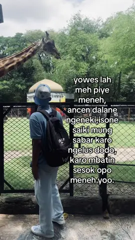#fyp 