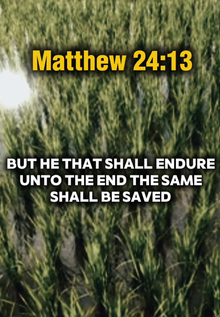 Matthew 24:13, But he that shall endure unto the end, the same shall be saved. #bibleverse #faith #matthew2413 #christianmotivation #christiantiktok 