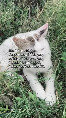 #4u #fyp #fouryou #sad 