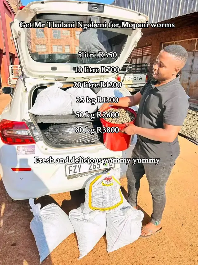 #Thembisa #giyaniticktoker #malamuleletiktoker💯 #malamuleletiktoker💯 #fyppppppppppppppppppppppp Get Mr Thulani Ngobeni for Mopani worms 5litre R350 10 litre R700 20 litre R1200 25 kg R1300 50 kg R2600 80 kg R3800 Fresh and delicious yummy yummy