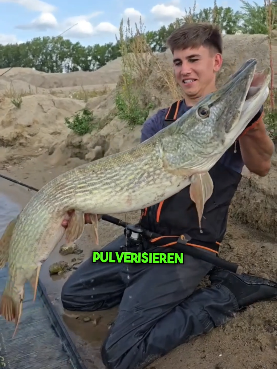 Auf Mission Titelverteidigung🐊💀 #hechtangeln #hecht #harzfishing #pikefishing #angeln 