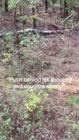 Not actually taking this deer 😂 #fyppp #viral #deer #dad #Outdoors 