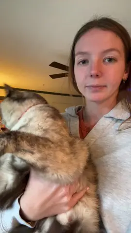 Happy Halloween from Chesterbelle!! Her costumes turned out so well!!