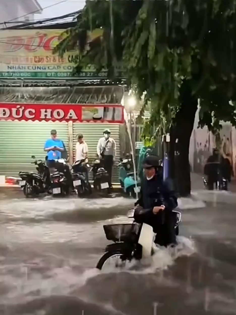 TRẬN MƯA BẢO LŨ LỤT NƯỚC DÂNG CAO TRÀN VÀO NHÀ DÂN THIÊN NHIÊN VÔ THƯỜNG GÂY NGẬP LỤT SẠT LỠ NHIỀU NƠI #tintuc #muabao #tphochiminh #nhacuanoithatthietbigiadung #maihoavuongvung558 