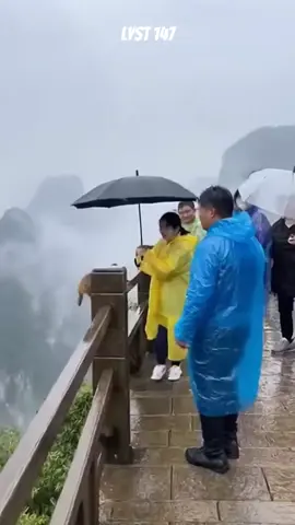 Chú Khỉ cố giật chiếc dù của du khách và cái kết. #dongvat 