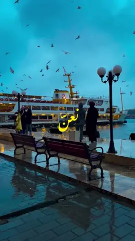 شغلتنا ننزعها.. ونعنّ.. #fyp #foryoupage #viral #treding #زياد_الرحباني 