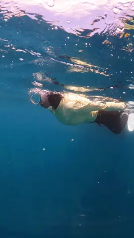 jujur baru dua kali latihan di kolam renang udah beraniin diri langsung ke open water. belum puas dengan keberanianku untuk menyelam lebih dalam. but its okay, bisa sampe sejauh ini udah jadi pelajaran hebat untuk diriku. im proud of myself🤍👋🏻 #promomakanharian #fyp #fundive #pulaupahawang #lampung 