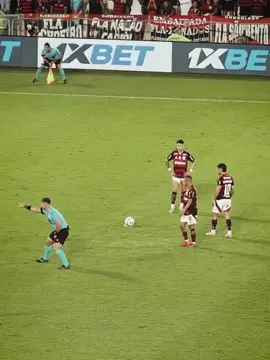 O 10 do mengão !!!  #brasileirao #flamengo #malvadao #futebol 