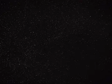 Solar System Edit but it’s Cats? 🐈 Cats edit?🥶 | SONG NAME: MONTAGEM AMOSTRA #рек #фонк #музыка #phonk 