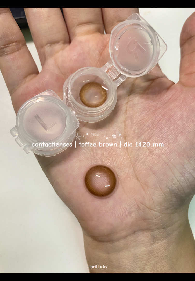 toffee brown | #คอนแทคเลนส์ #รีวิวคอนแทคเลนส์ #คอนแทคเลนส์รายเดือน #midroo #contactlenses 