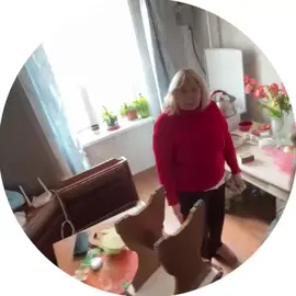 #creatorsearchinsights #галя 