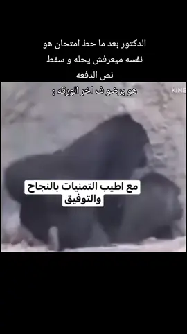 #fyp #foryoupage #viral #جامعة #ثانوية_عامة 