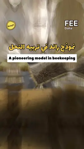 🌿🐝 تربية النحل في مؤسسة قطر: نموذج للاستدامة البيئية! في قلب المدينة التعليمية، ينمو منحل فريد يساهم في استعادة التوازن الطبيعي ودعم التنوع الحيوي من خلال التلقيح الطبيعي وتحسين إنتاج الغذاء. 💛 التركيز على النحل العربي المتأقلم مع مناخ المنطقة يعزز النظم البيئية المحلية ويقلل الاعتماد على الأنواع المستوردة. 🍯 إنتاج العسل الموسمي، مثل عسل السدر، يُعاد استثماره لتوسيع المشروع وجعله ذاتي الاستدامة. 📚 المبادرة تشمل أنشطة تعليمية تفاعلية، تتيح للطلاب فهم الدور الحيوي للنحل وربط التعليم بالاستدامة. #الاستدامة #مؤسسة_قطر #تربية_النحل #المدينة_التعليمية #عسل_السدر       