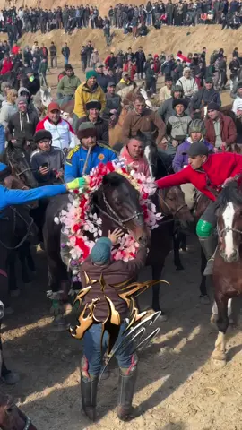 Бошукух #buzkashi #buzkashiofficial #бузкаши 