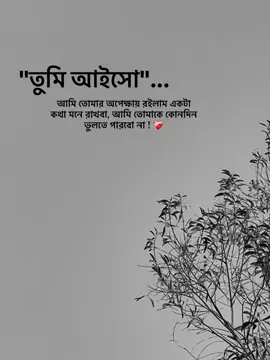 যদি জীবনে কোনো এক দিন আমার কথা মনে হয় তাহলে আমার এক টু খোঁজ নিও..!!❤️‍🩹 . . #foryou #fyp #fyppppppppppppppppppppppp #tanding #vairal 