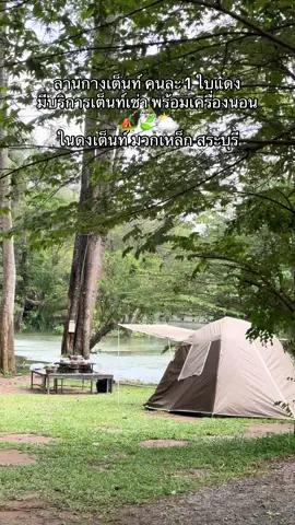 ลานกางเต็นท์ คนละ 1 ใบแดง มีบริการเต็นท์เช่า พร้อมเครื่องนอน 🏕️🍃⛅️ ในดงเต็นท์ มวกเหล็ก สระบุรี #ในดงเต็นท์ #tiktokกินเที่ยว #ฟีดดดシ #น้ําตกเจ็ดสาวน้อย #ที่พักสระบุรี 