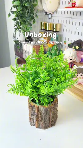 Chậu cây decor bàn học , bàn làm việc siu xinh 🪴🪵🍃 #chaucay #chaucaydecor #chaucaymini #decor #thaothichriviu 