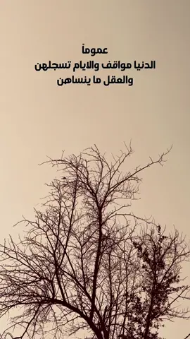 انستا s126f #اعاده_نشر🔁 #متابعه_للحساب #عباراتكم_الفخمه📿📌 #تصويري_احترافي_الاجواء👌🏻🕊😴 #الحله_بابل_العراق 