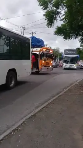 maquina 🚍✈️❤️ @Mojica @🦋xaparrita🦋 @~Obando_05~💨 @elkinsito75 @Buseros NICARAGÜENSES 👊🏻🚍🚐 @𝓐𝓫𝓷𝓮𝓻𝓝𝓲𝓬𝓪🌴  #nicaragua🇳🇮❤️ #trasvenado #amamosloquehacemos #sigueme_y_te_sigo #paratiiiiiiiiiiiiiiiiiiiiiiiiiiiiiii 
