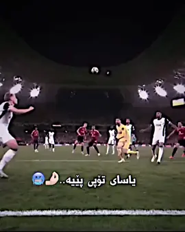 شێری تۆپانێ
