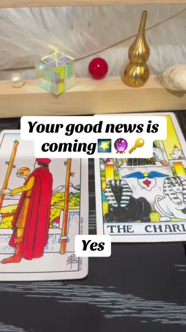 #tarotreading #tarotreader #tarot 