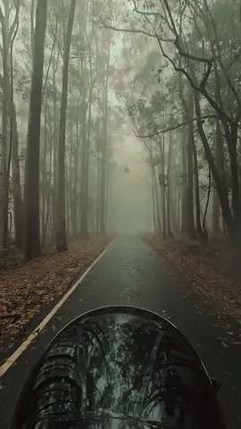 #CapCut #hortonplains 🍃 #nuwaraeliya 🥶 #colddays #r15v3 #roadtrip #beautyfullview #srilanka #biker #trending #flypシ @Ťhę E Ñą @Ak @DuKe couples 🪽 