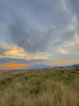 Trời đẹp, ghép nhạc đom đóm nó mới toả sáng cho video.#xuhuongtiktok #chieuhoanghon #vairalvideo #chill 
