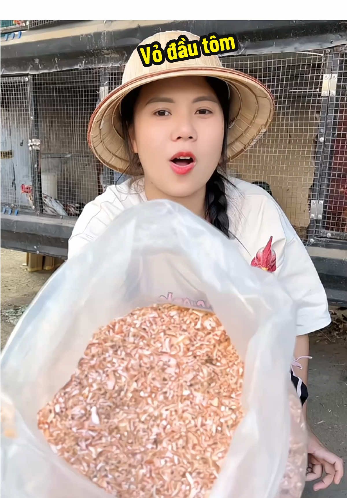 Vỏ đầu tôm say rồi nên trộn thức ăn cho gà ăn là ổn các bác ạ #xuhuong #channuoiga #channuoi #gachoivietnam #vodautom 