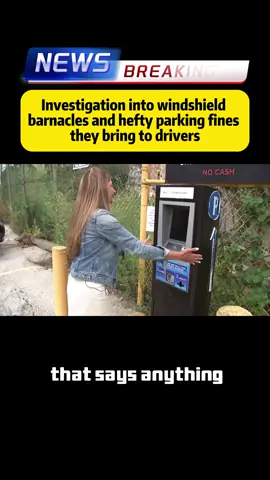 #news 