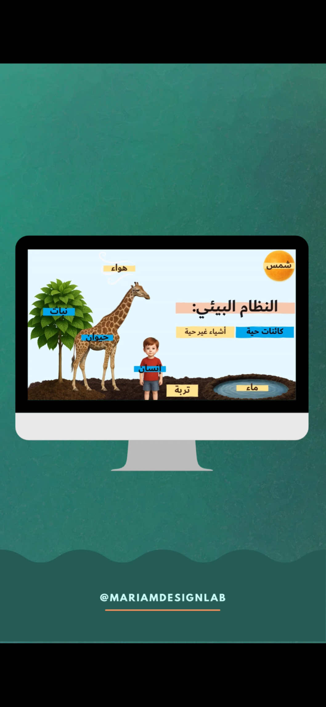 🔍 شنو يعني النظام البيئي؟  #علوم_رابع #علوم #رابع #رابع_ابتدائي #الشعب_الصيني_ماله_حل😂😂 