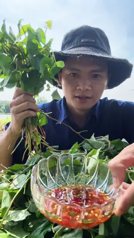 Ngon quá #tamngoai30 #tamoitama #tamnongdan #raudiepca #mukbang 