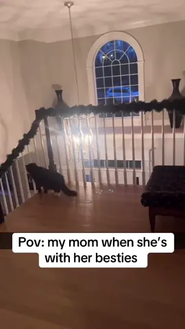 It echos through the whole house. Mom was wildin out 🤣#crazy #latinas 