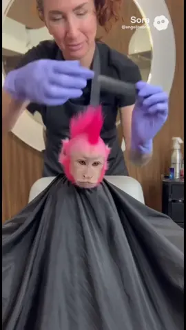 Rate my haircut 🕺  • #monkey #mohawk #haircut #sora #trend 