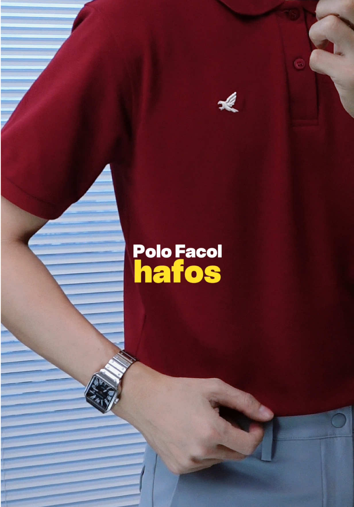 Polo Smart Pique Cotton của Hafos #ngoai30macgi #macdepcunghoaisinh #elegant #hafos 
