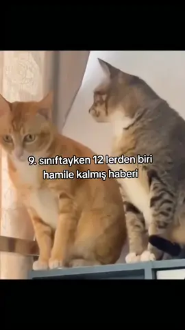 çok gizli bilgi gibi #okul #ders #haber #öğrenci #sır 