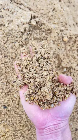 Cát vàng cứ như muối tây ninh 