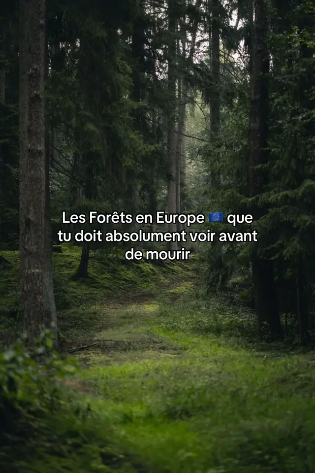 Y’en as que tu connaissais déjà ? #rando #france🇫🇷 #foret #montagne 
