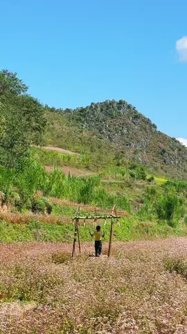 Có lẽ Hà Giang đâu phải tự nhiên đẹp như vậy. Mà vì nơi đó có sự hồn nhiên, thơ ngây, tích cực đó chính là nét đẹp đặc trưng của các em nhỏ ở vùng núi phía Bắc. Các em luôn giữ 1 nụ cười tươi trên môi🥰#hagiang