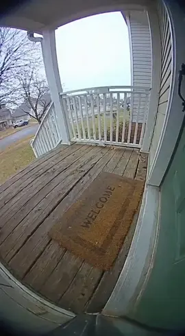 Delivery Driver Falls Through the Porch #meme #sora #viral #ai #cat 