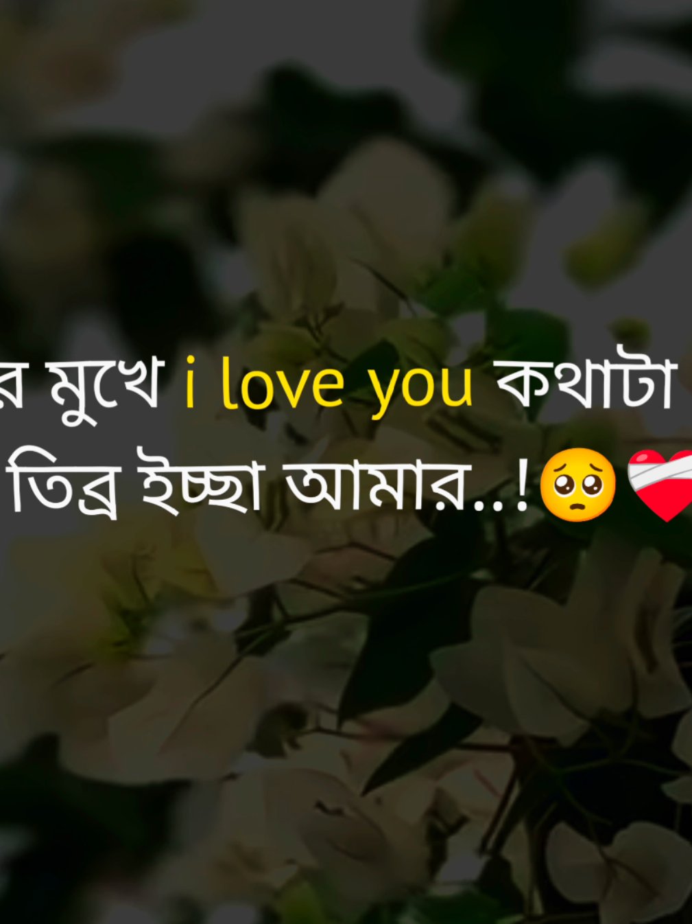 #লাইক_view_আসেনা_সবাই_সাপোর্ট_করো🙏🙏🙏 #sedcaption #viral #brorakib249 @TikTok Bangladesh 